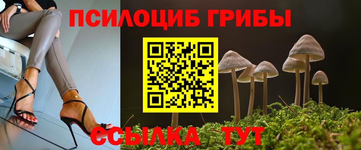 Подольск  Псилоцибиновые грибы мицелий  Вход с VPN 